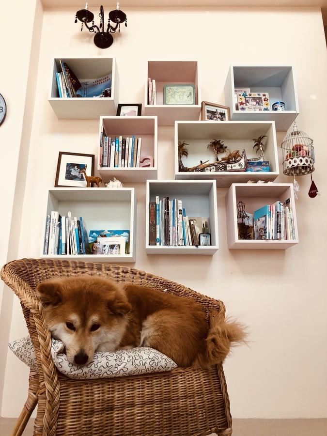 Straybirds Apartment Donghe Luaran gambar